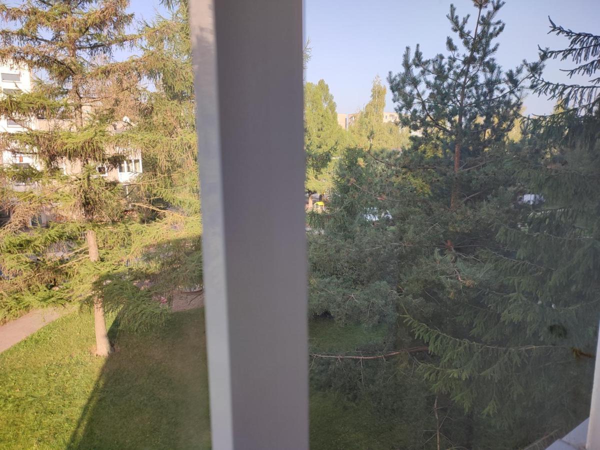 Shortstoppasilaiciai VNO Kültér fotó